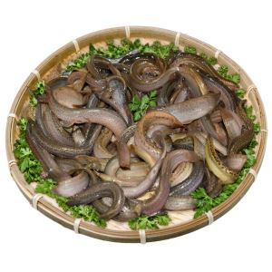 컷뉴스