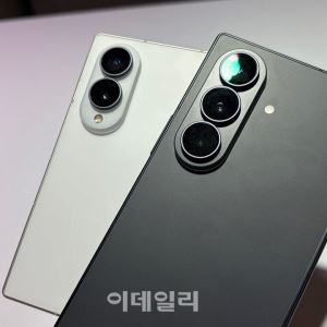 컷뉴스