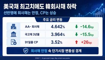 美국채 금리 20여년來 최고에도…회사채 금리 오히려 내렸다