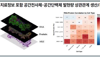 지니너스, AI가 찾은 항암 신약 타깃 실험 검증 돌입…'기술이전 기반 다진다'