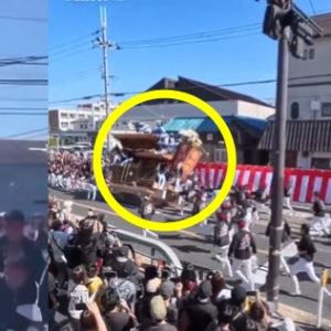 "전통이면 사람 죽어도 되나"…日 단지리 사망 영상에 누리꾼 경악