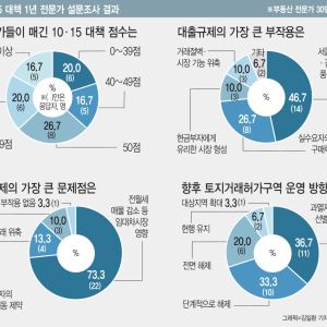 투기수요는 잡았지만 집값·전셋값 못 잡아…10·15 ‘반쪽 성과’