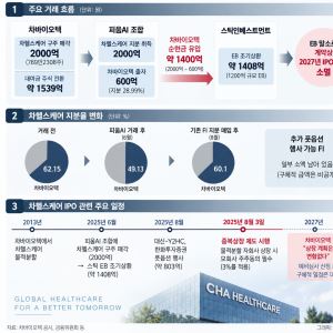 10년 끈 차헬스케어 IPO, 의무 사라졌다…회수 부담은 모회사에[차바이오 딥시크①]