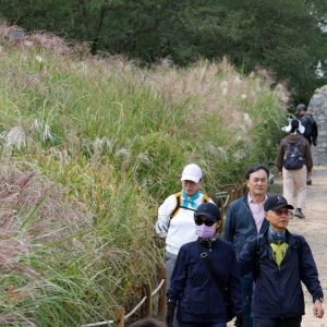 "나들이는 토요일에"…낮 최고 27도, 일요일엔 전국 비[내일날씨]