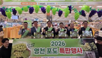 영천 샤인머스켓 120톤, 전국 이마트 132곳서 판매