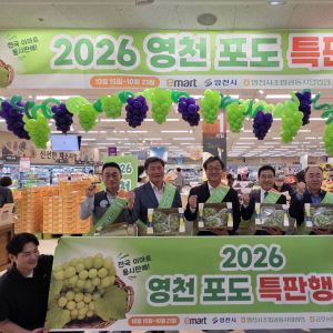 영천 샤인머스켓 120톤, 전국 이마트 132곳서 판매