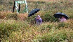 남부·제주서 출근길 '비바람'…최대 30㎜ 집중호우도[오늘날씨]