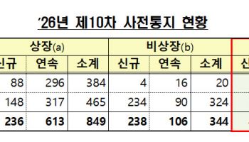 금감원, 내년도 감사인 지정 결과 사전통지…1193개사 대상