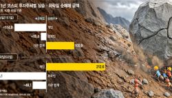 개미만 '눈물의 저가 매수'...오를 땐 기관 끌고, 내릴 땐 외국인 던지고