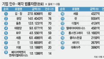 로펌 합병 러시에…M&A 법률자문 중위권 '지각변동'[마켓인]