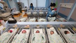 “아이 안 낳는다”더니 반전…결혼 3~9년차 부부에 무슨 일이[only이데일리]