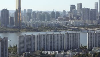 [단독]대출 막히자 "주식 팔아 강남집 살래"…'현금부자' 싱글벙글