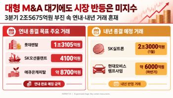 마무리 앞둔 딜 쌓여있지만..M&A 반등은 '글쎄'