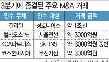 "작은 기업 인수해 키우는게 낫다"…중소형 거래로 버틴 M&A 시장