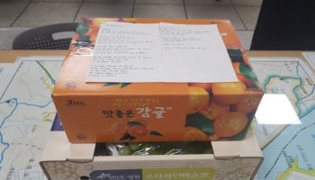나무서 떨어진 9살 아들…이틀 뒤 엄마가 119 찾아간 이유