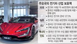 “내 세금으로 중국차 키우나”…보조금 늘었는데 국산차 지원은 뺐다