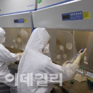박셀바이오, 간암 16명 중 11명 반응…‘첨생법 2호’ 문 두드린다