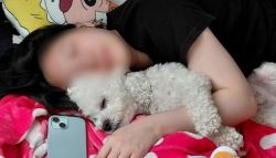 최충락 흉기 난동에 쓰러진 19세…母 어제와 같다는 말이 희망