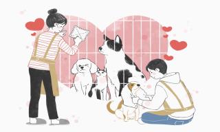 "쓰던 이불 기부하고 유기동물 보호해요"