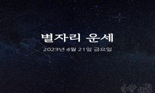 세모뉴스
